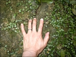 DSCN0142.JPG