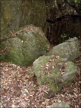 DSCN0147.JPG