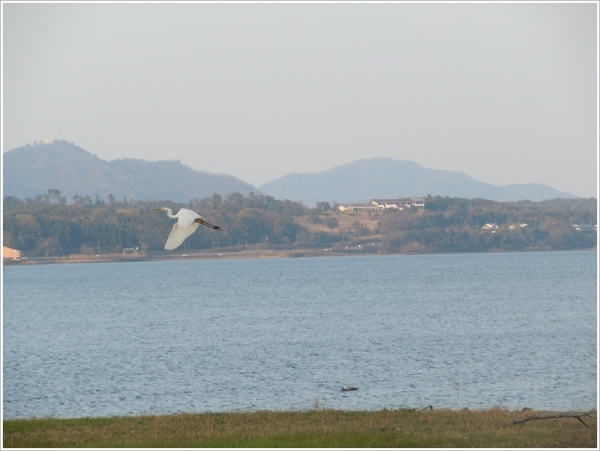 DSCN7597.JPG